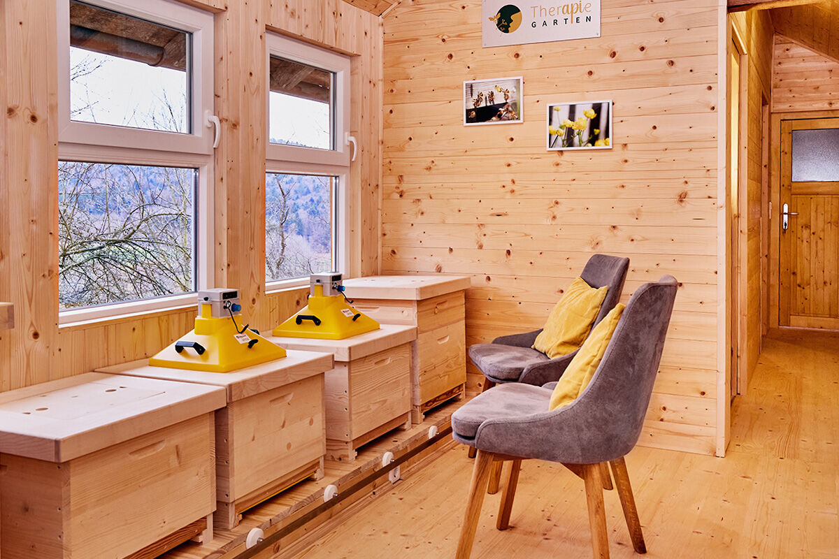 Die Vorteile einer Bienenstockluft-Anwendung - Exklusiv im Wellnesshotel Jagdhof